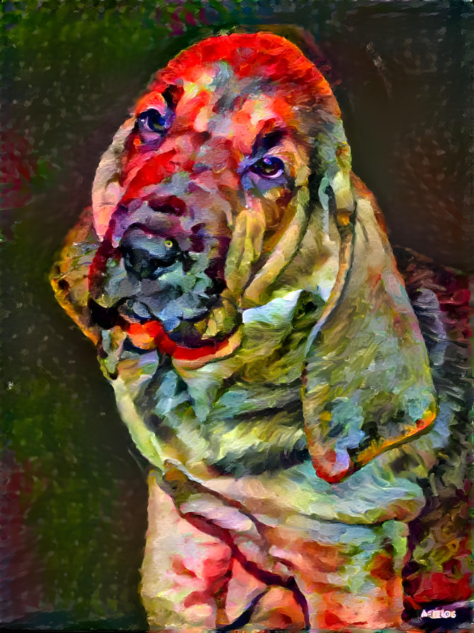 My bloodhound girl LORENZA  as a puppy