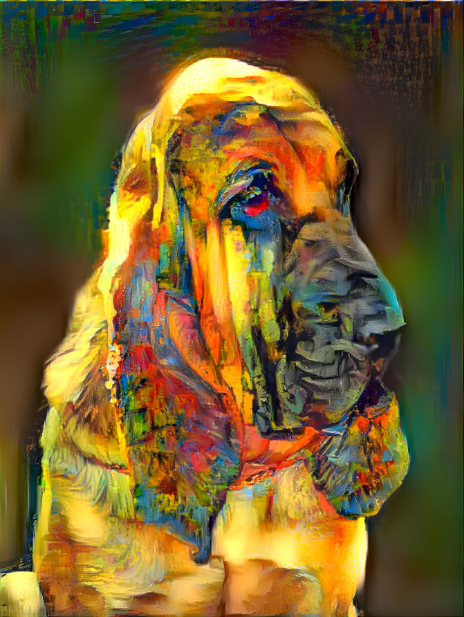 My bloodhound boy FLOREK aka RIO