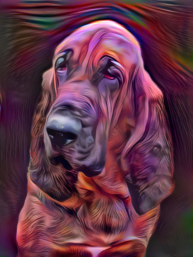 my bloodhound girl PEARLEEN