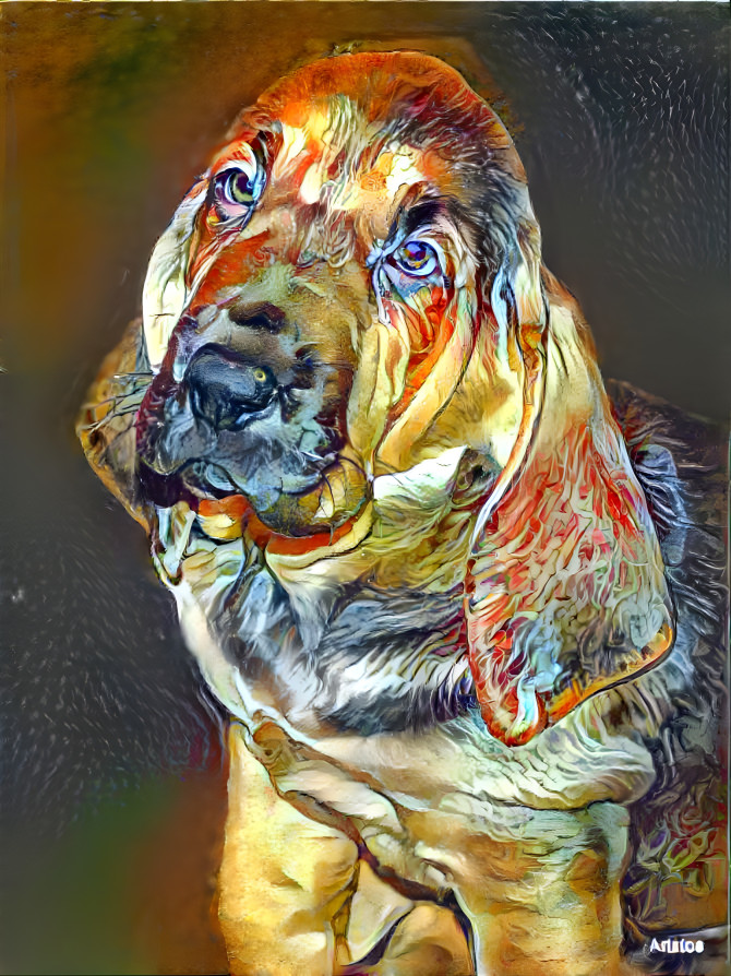 My bloodhound girl LORENZA as a puppy