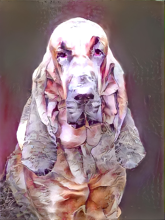 My bloodhound girl LORENZA