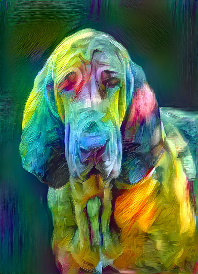 My bloodhound girl NORMA