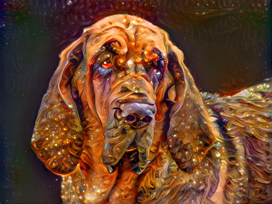 My bloodhound girl MARY