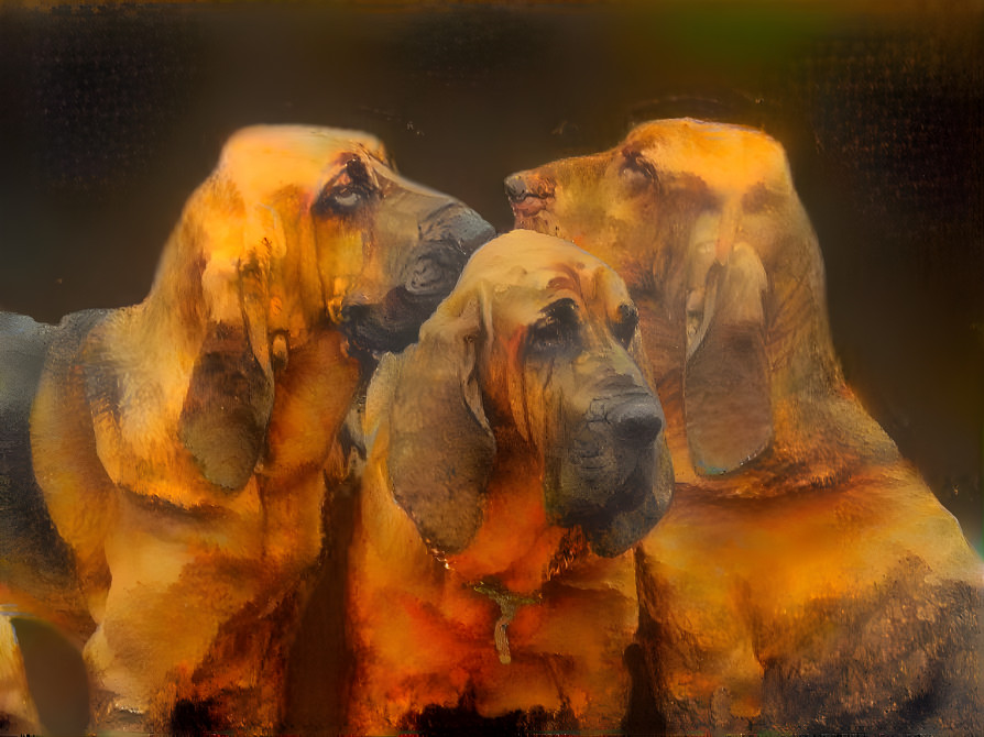 Aristos bloodhounds boys: 3 generations