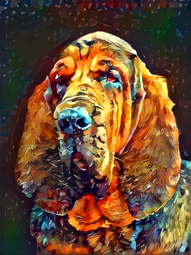 My bloodhound boy Vondracek