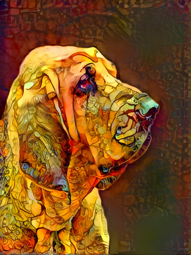 My bloodhound girl SYRENKA