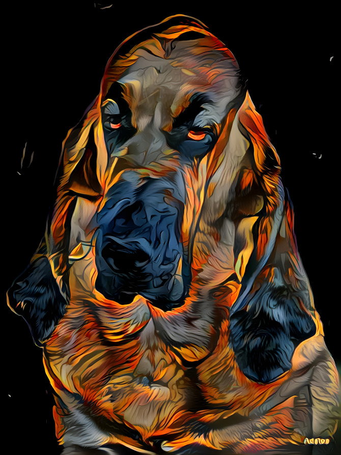 My bloodhound girl Carmen