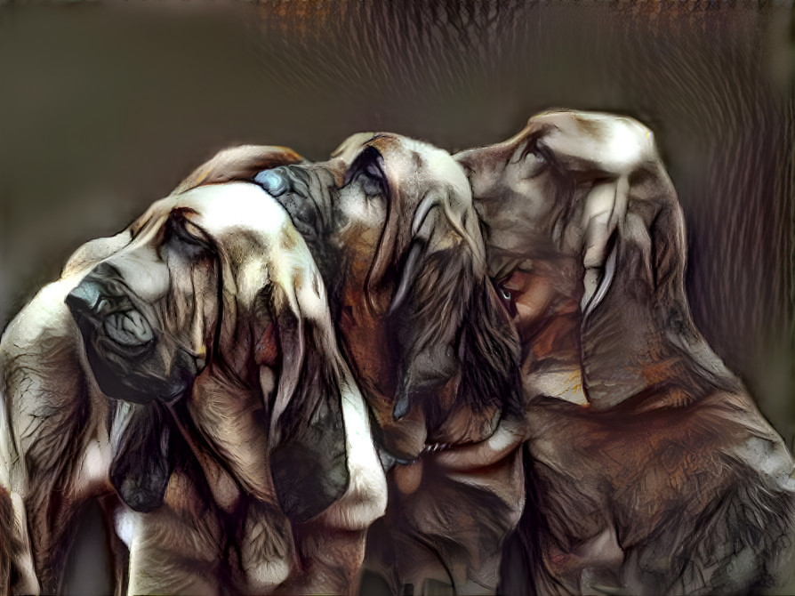 My bloodhounds: 3 generations: Robin, Pepi & Rufus