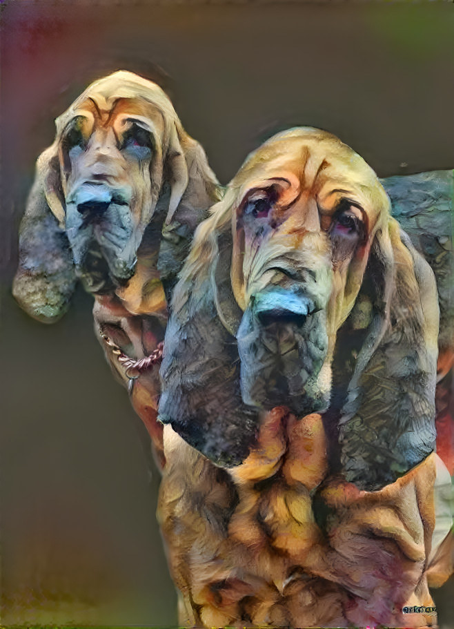 My bloodhounds: ROBINSON  & his grandma ROSIE