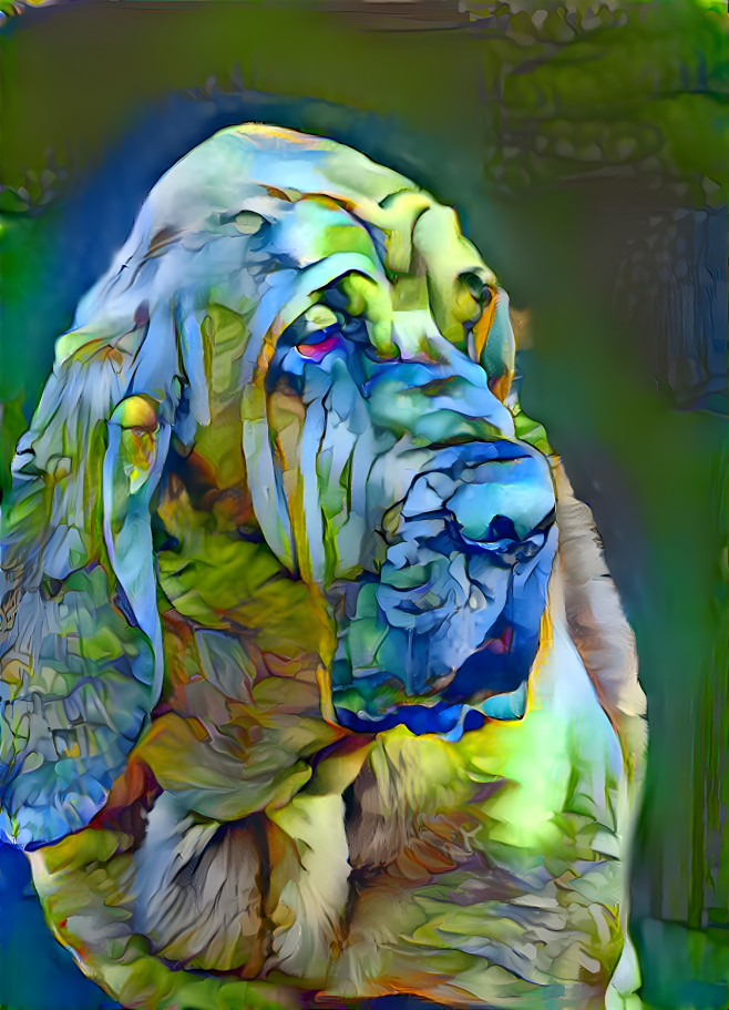 My bloodhound boy PEPPINO