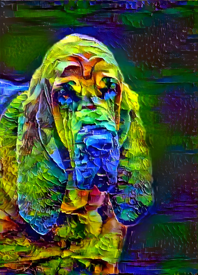 My bloodhound boy PEPINO