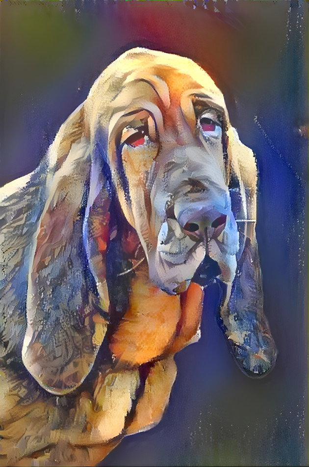 My bloodhound girl KLARA