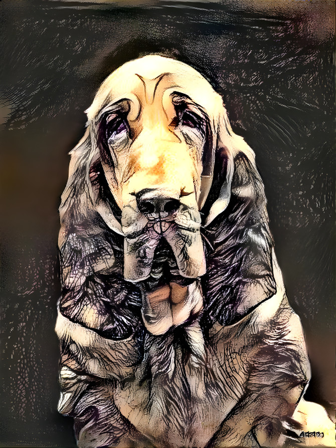 My bloodhound girl IRANDA