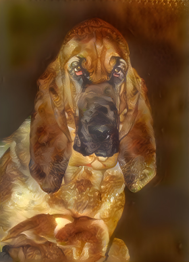 My bloodhound girl PEARLEEN