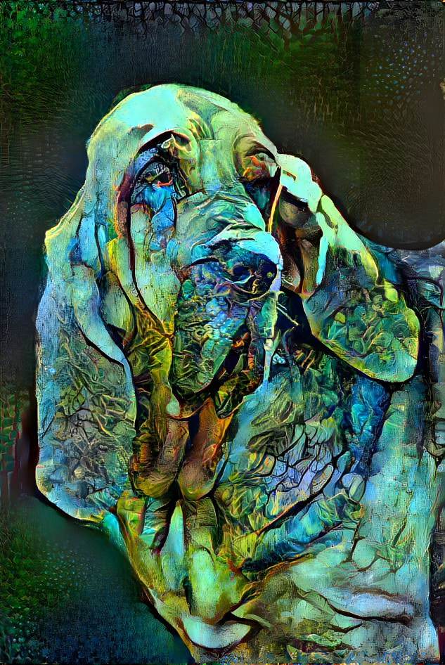 My bloodhound girl MARY