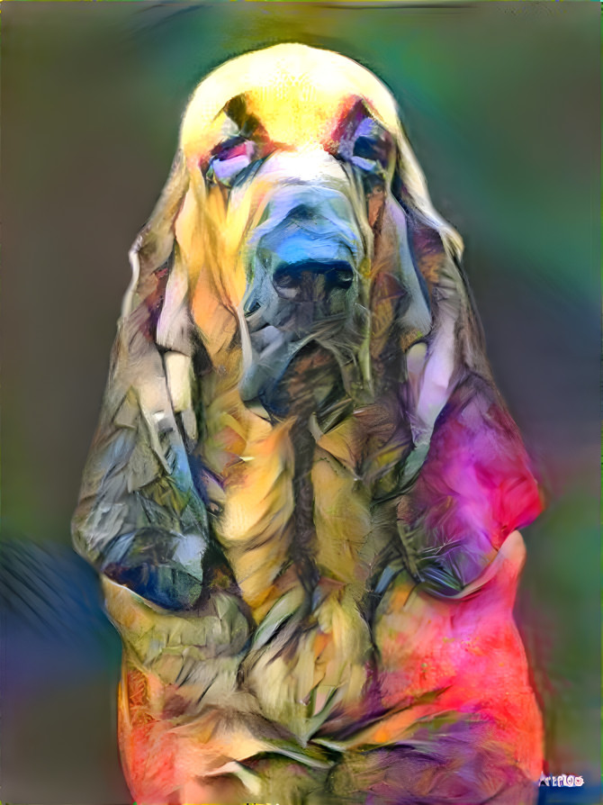My bloodhound girl LORENZA