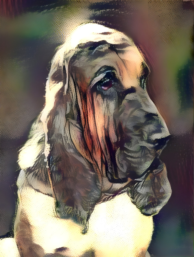 My bloodhound boy Florek