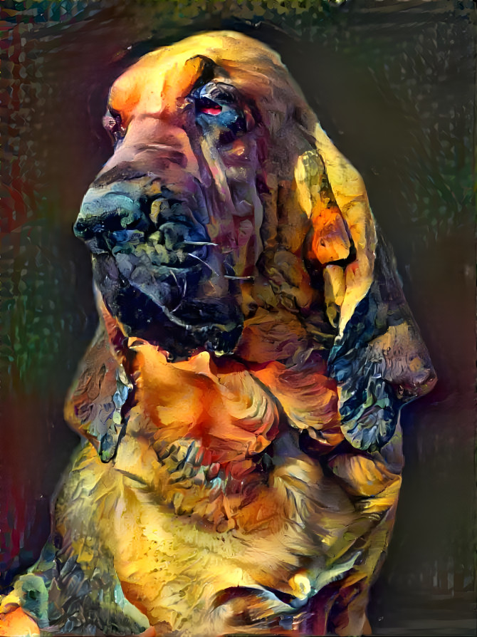 My bloodhound girl IRMA