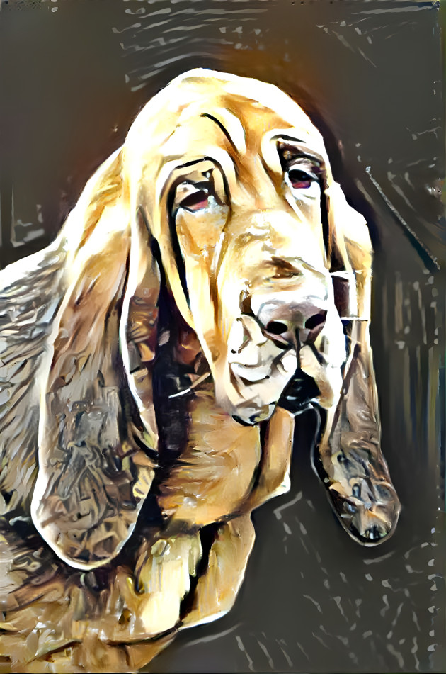 My bloodhound girl KLARA