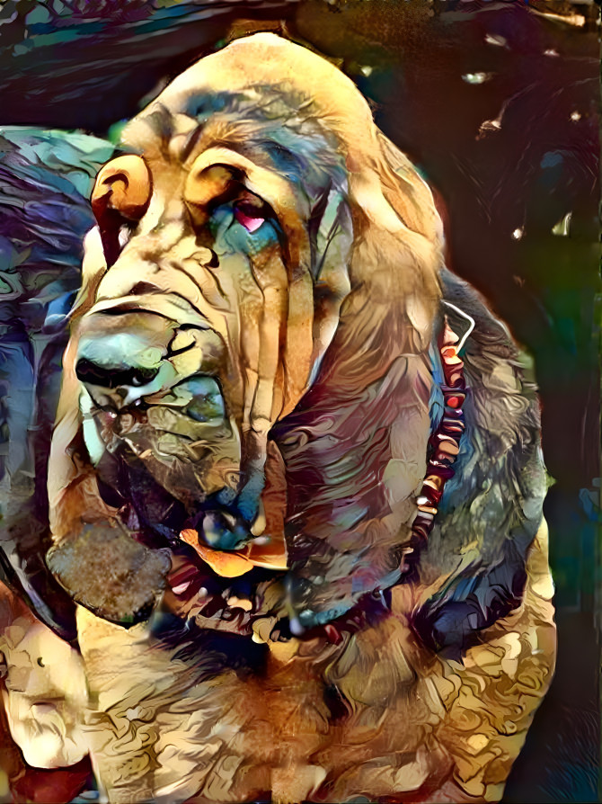 My bloodhound boy ROBINSON