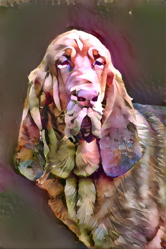My bloodhound boy RUFUS