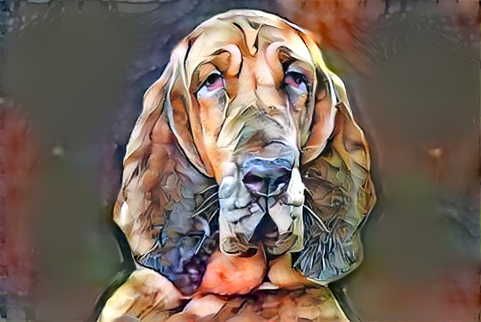 My bloodhound girl IRANDA