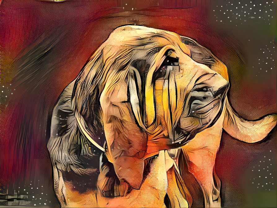 My bloodhound boy VONDRACEK