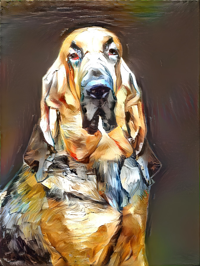 My bloodhound girl CARMEN