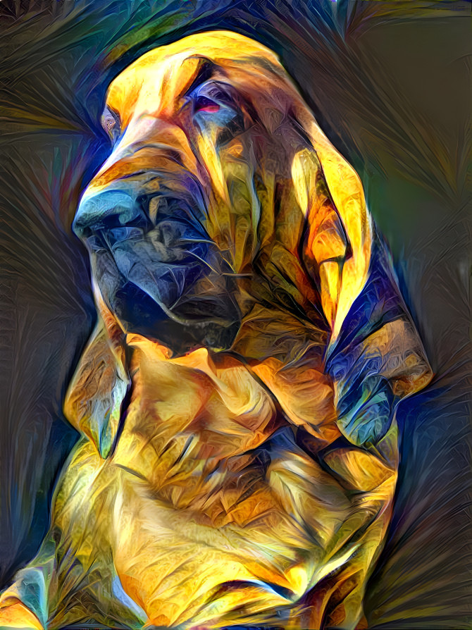 My bloodhound girl IRMA