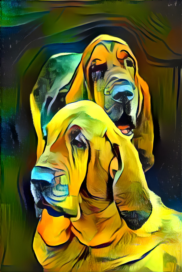 My bloodhounds :VONDRACEK  & his dayghter SYRENKA
