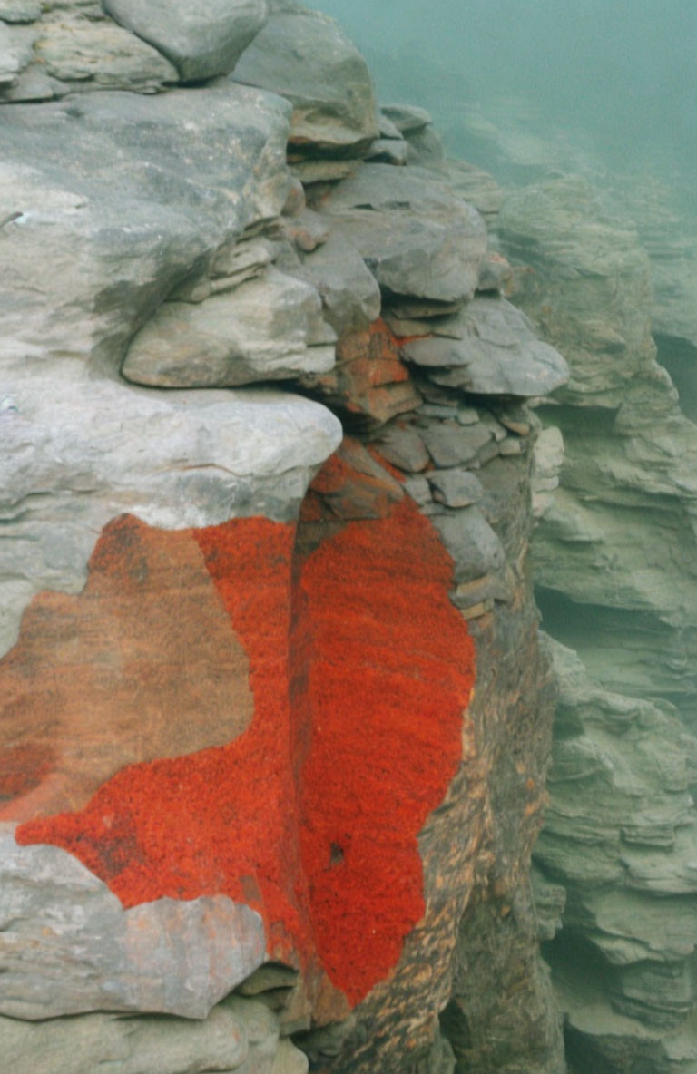 Reddish-Orange Algae Stained Rock Formations in Green Water