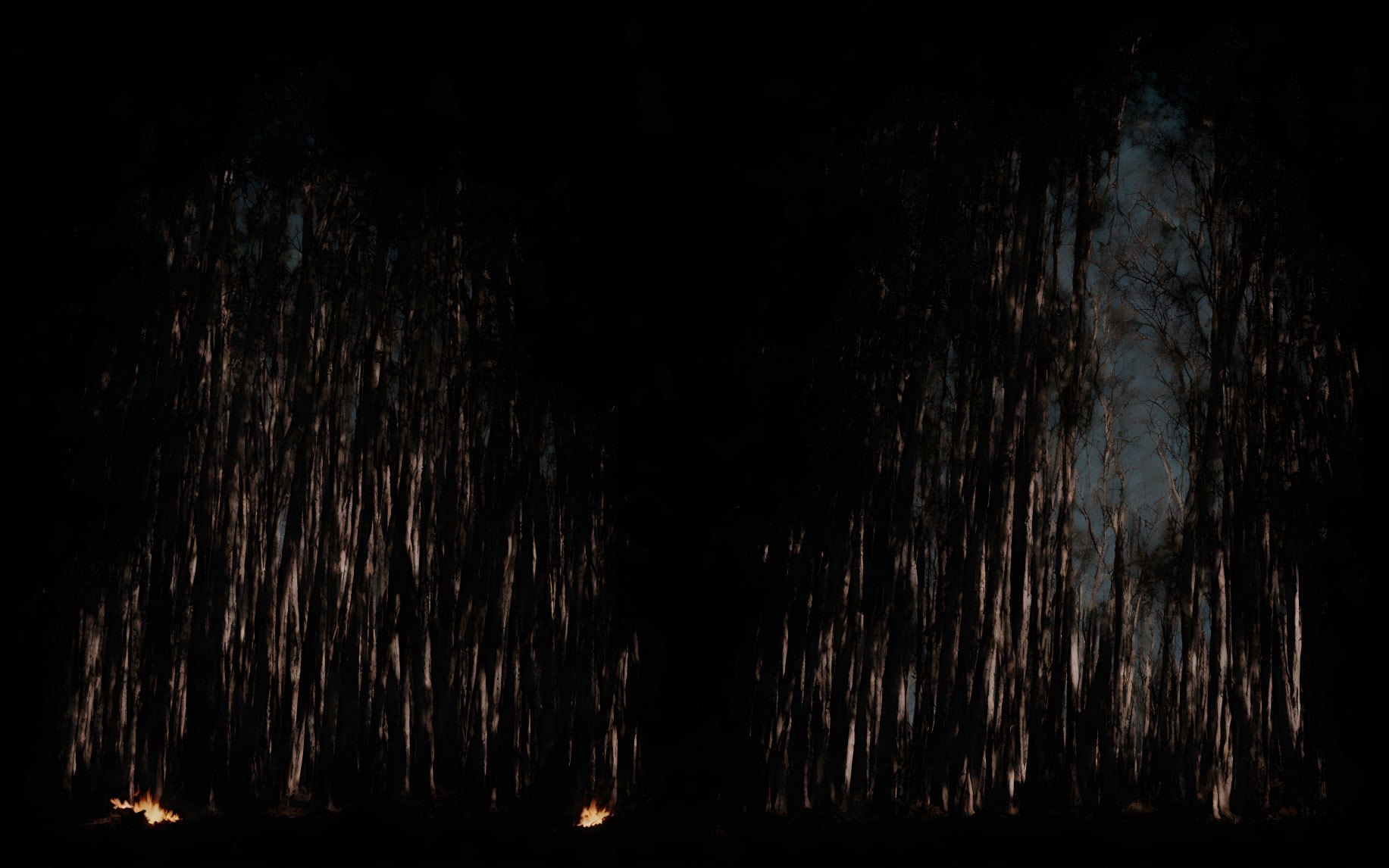Dark forest at night with small fire, tall tree trunks, and moonlight.