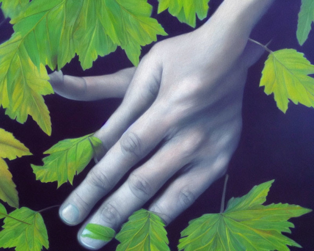 Realistic painting of human hand touching maple leaves