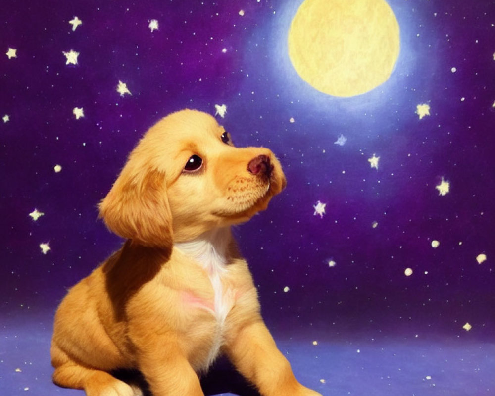 Golden puppy under starry night with large yellow moon