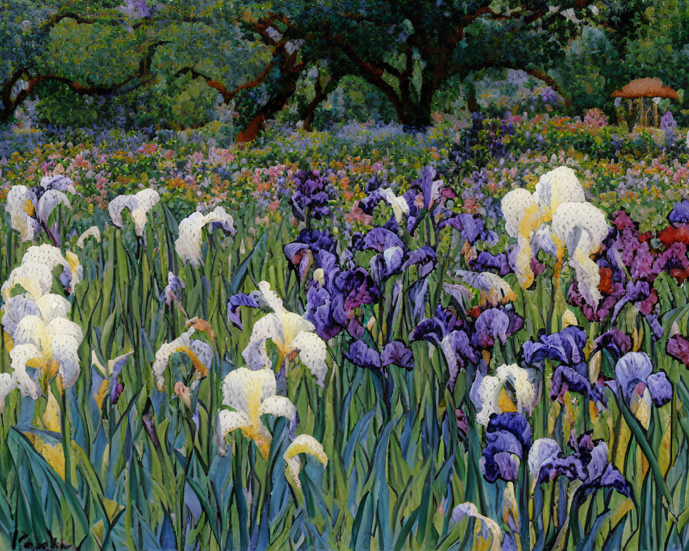Colorful irises in purple, white, and yellow with trees and gazebo in the background