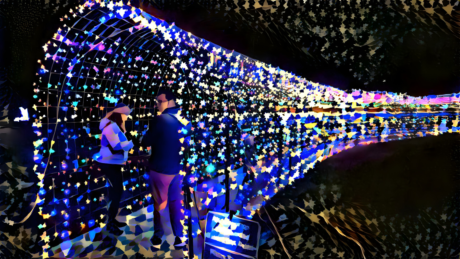 Christmas Light Display Tunnel - Public Garden
