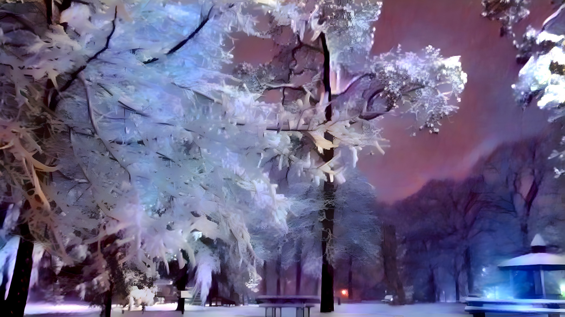 Nighttime Snow - Winter Wonderland