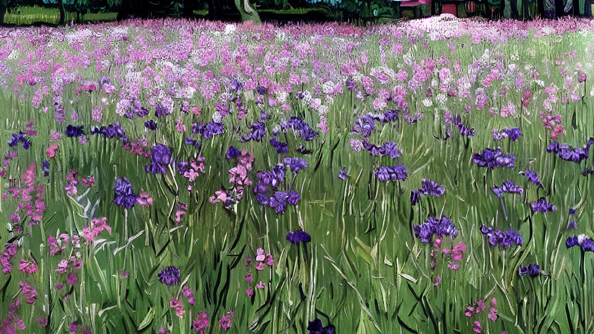 Lush purple and pink irises in a serene forest setting