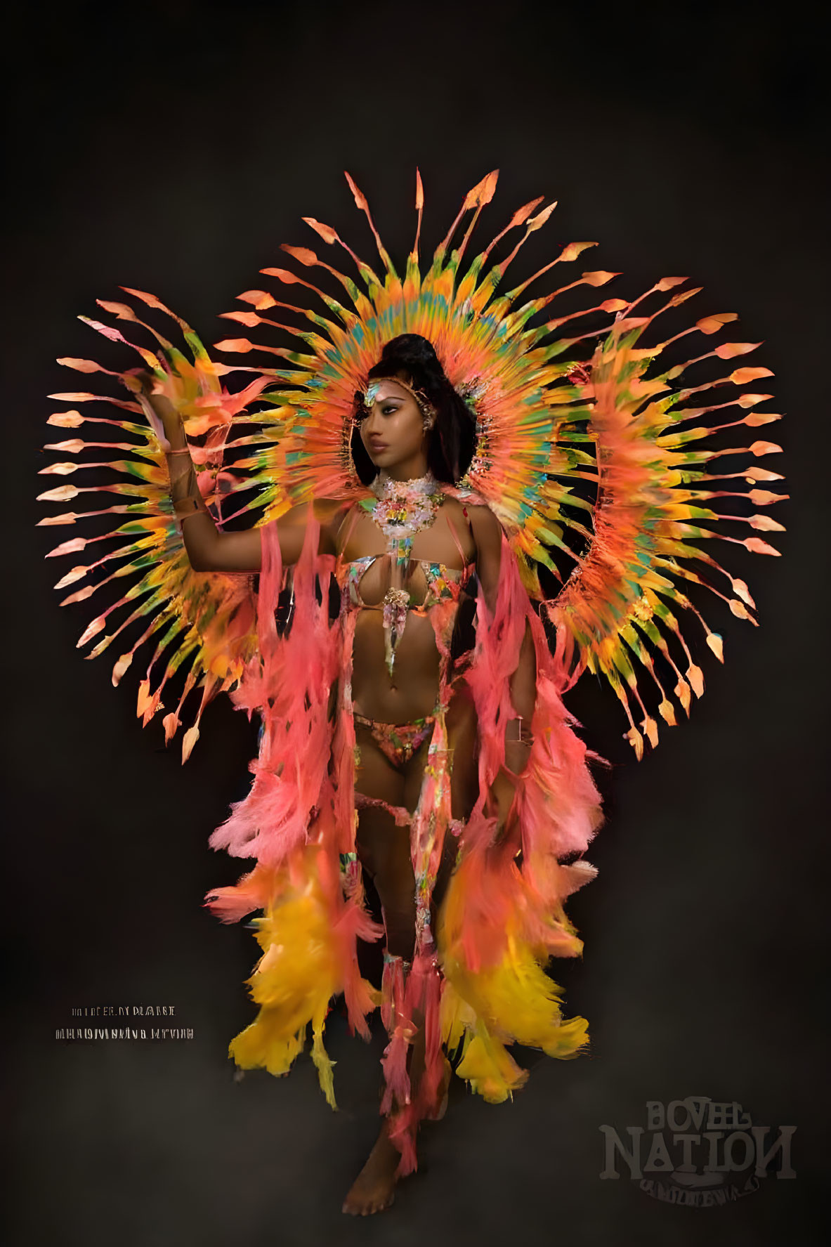 ai, orange feather dancer, black background