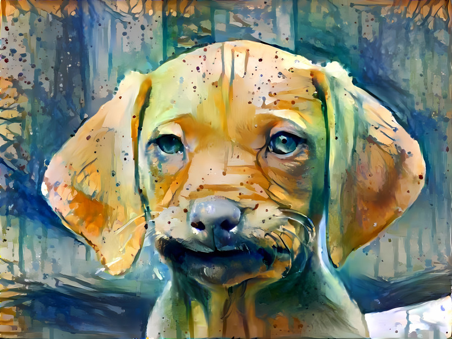dog, facial expression, watercolor