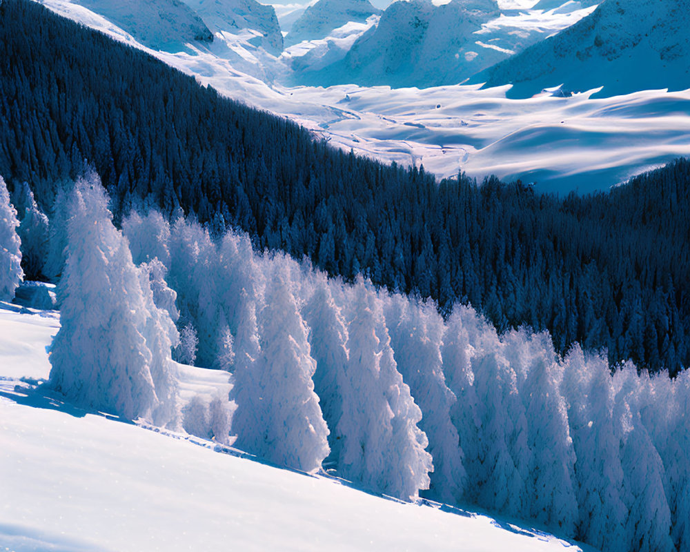 Majestic snow-covered alpine landscape with frosted trees and snow-capped mountains