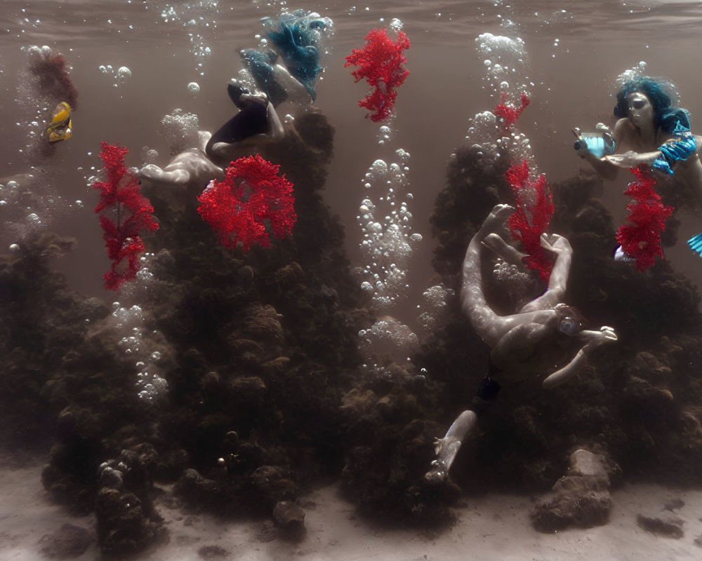 Underwater Divers Discover Red Coral and Rocks Amid Bubbles