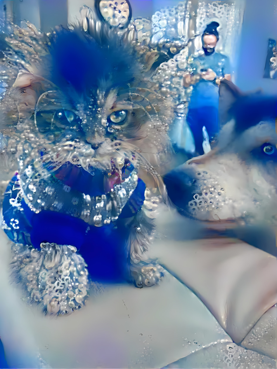 dog & cat retextured, blue