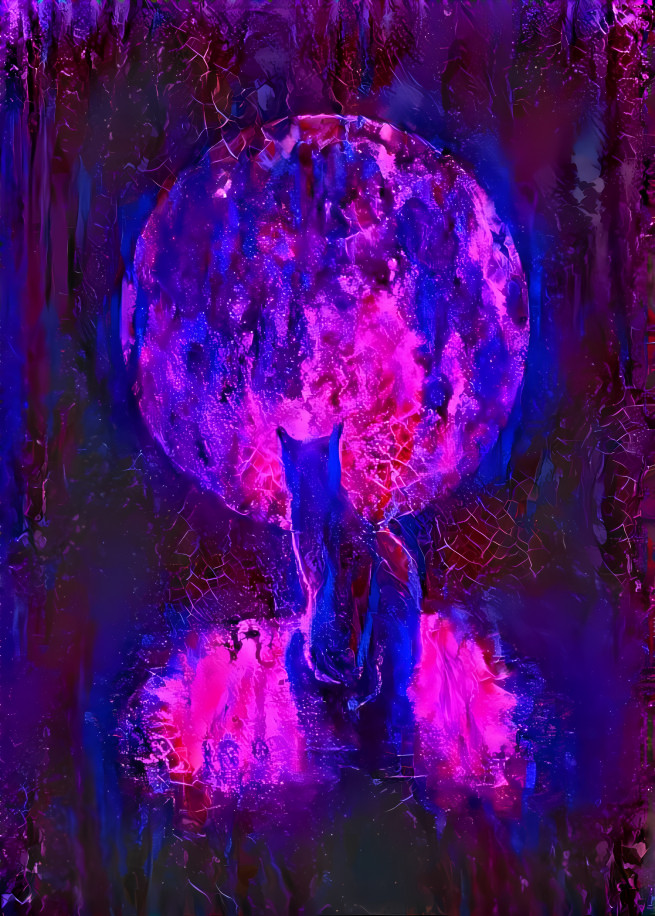 black cat staring at moon, blue, pink, purple