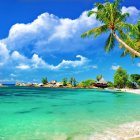 Tropical Beach Scene with Palm Trees and Blue Water