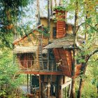 Rustic treehouse in watercolor with autumn foliage