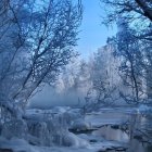 Snow-covered trees and tranquil stream in serene winter forest at twilight