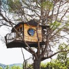 Colorful Treehouse Illustration Surrounded by Nature and Butterflies
