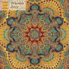 Intricate fractal image: Rich colors, symmetrical shapes & textures
