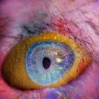 Abstract Eye Structure Surrounded by Colorful Patterns and Textures